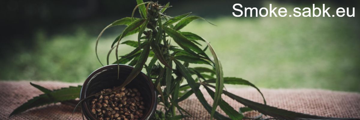 smoke.sabk.eu smoke.sabk.eu